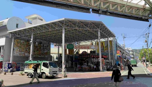 【高知名物を食べ尽くす】ひろめ市場とは？所要時間・混雑を避けるコツを解説