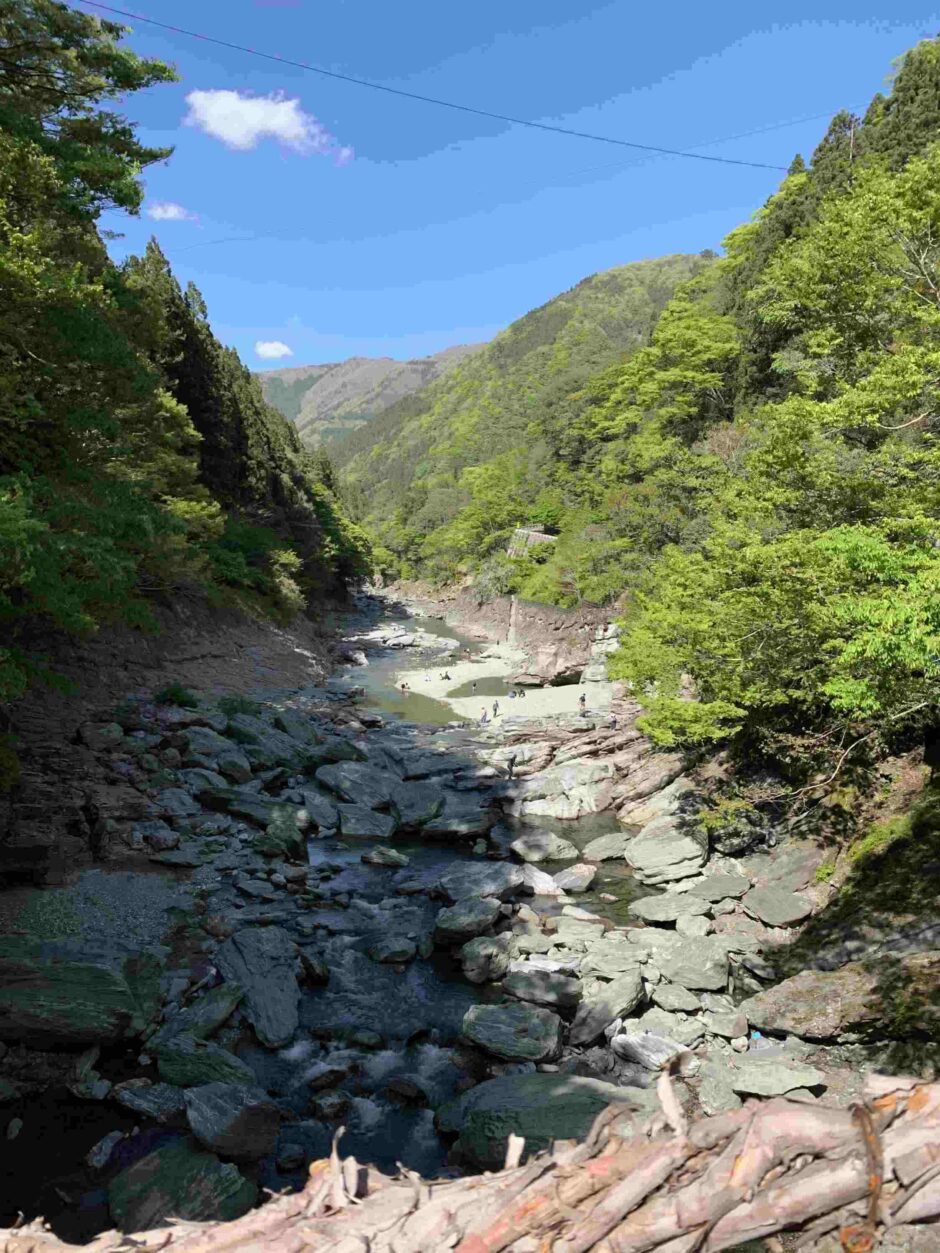 かずら橋 の風景