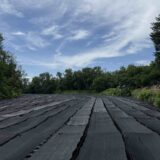 大王わさび農場 の風景