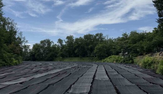 【日本最大級】安曇野・大王わさび農場とは？所要時間・混雑を避けるコツを解説