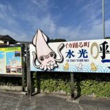 呼子の朝市 の風景