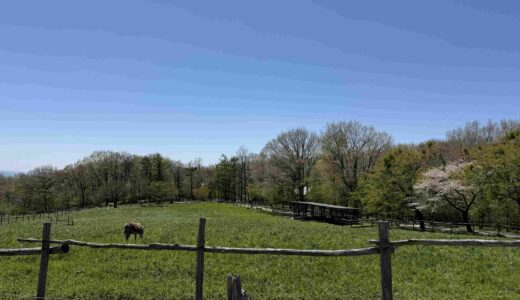 【入場無料で一日楽しめる】那須高原 南ヶ丘牧場とは？見どころ・所要時間・混雑回避を解説