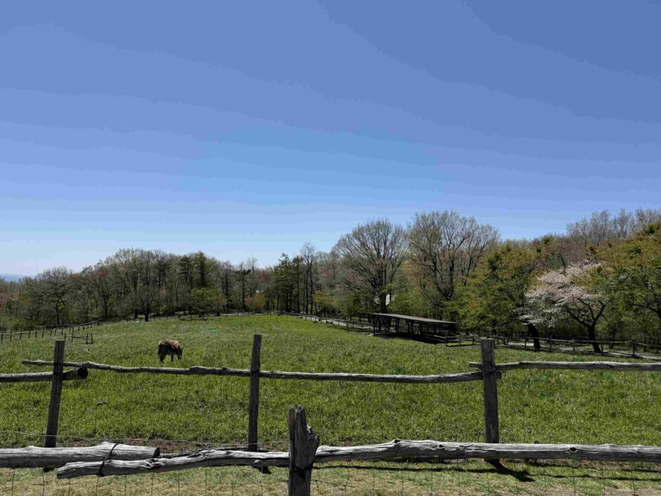 那須高原 南ヶ丘牧場