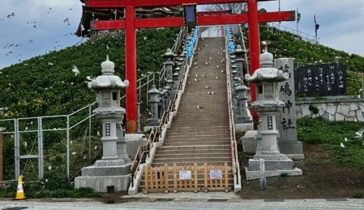 【ウミネコに会える神社】蕪嶋神社とは？見どころ・所要時間・混雑回避を解説