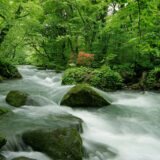 【日本屈指の渓流美】奥入瀬渓流とは？見どころ・所要時間・混雑回避ガイド