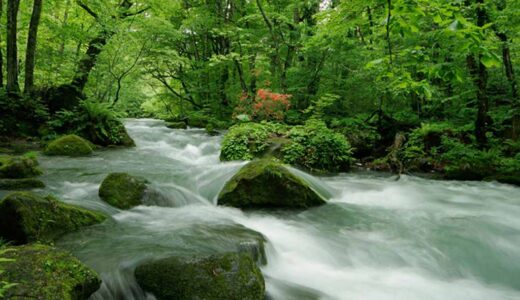 【日本屈指の渓流美】奥入瀬渓流とは？見どころ・所要時間・混雑回避ガイド