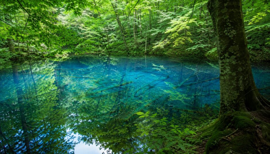 十二湖 青池