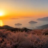 紫雲出山 見頃