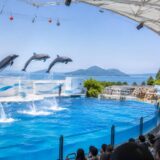 新屋島水族館 所要時間