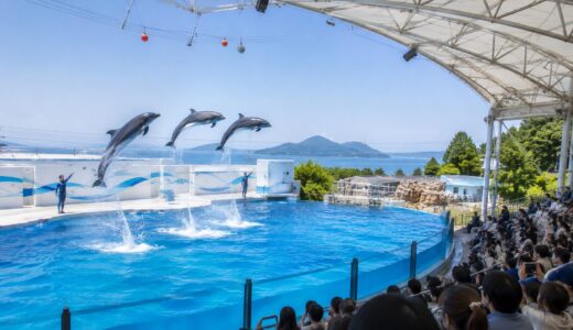 新屋島水族館は何時間必要？イルカショーと見どころを紹介
