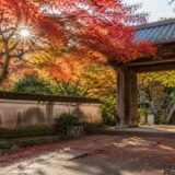 法泉寺 紅葉 見頃