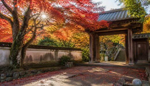 法泉寺の紅葉はいつが見頃？アクセス・駐車場・混雑を紹介
